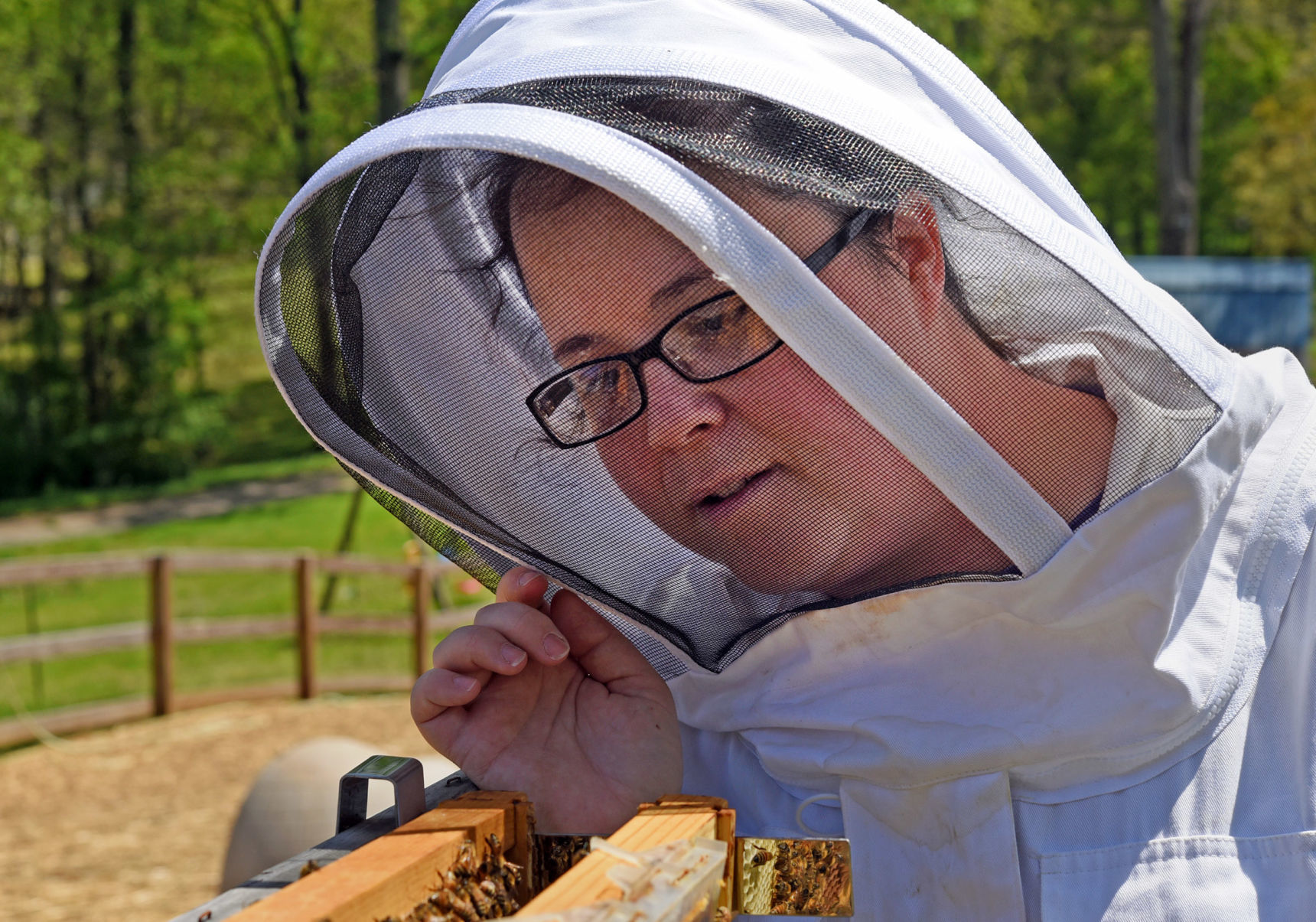 Desirae Balsamo bees